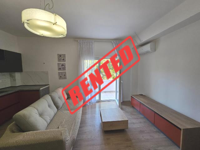 One Bedroom Apartment for Rent in Margarita Tutulani Street in Tirana, Albania
